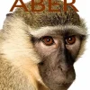 Aber
