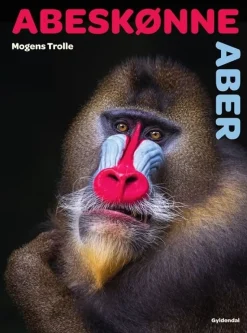 Abeskønne aber