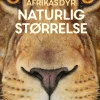 Afrikas dyr - i naturlig størrelse