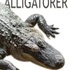 Alligatorer