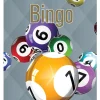 Bingo spil