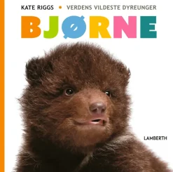 Bjørne