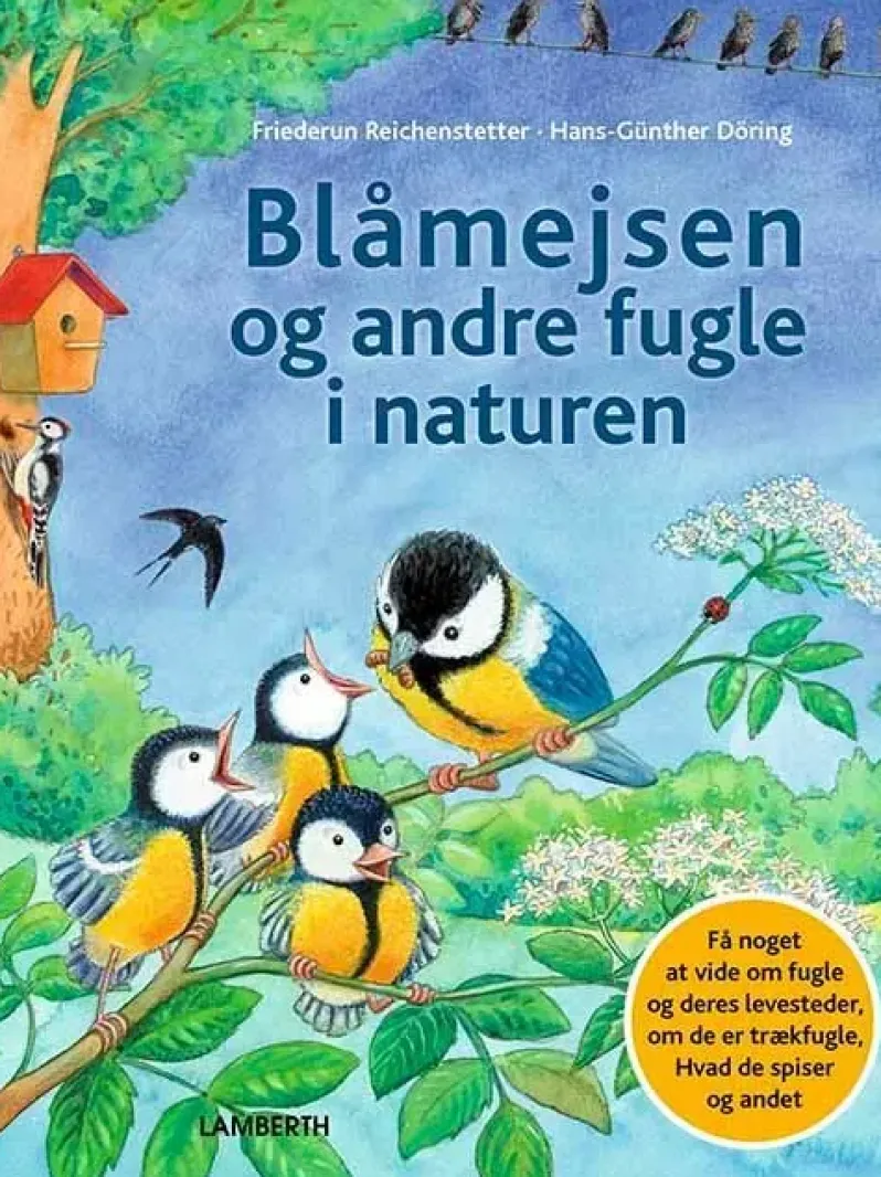 Blåmejsen og andre fugle i naturen