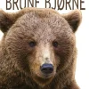 Brune bjørne
