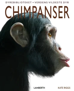 Chimpanser