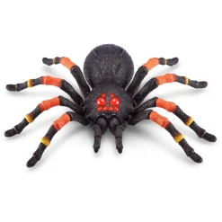 Creepy Crawly Pack