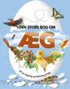Den store bog om æg
