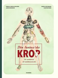 Din fantastiske krop - fra urtidsfisk til nutidsmenneske
