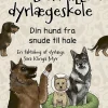 Din hund fra snude til hale