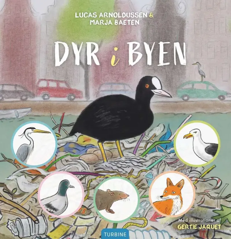 Dyr i byen