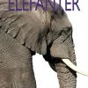 Elefanter