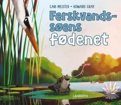 Ferskvandssøens fødenet