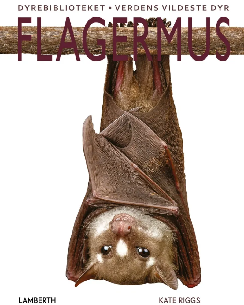 Flagermus