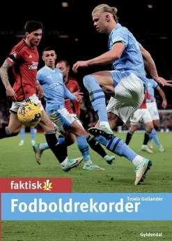 Fodboldrekorder