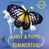 Fra larve og puppe til sommerfugl