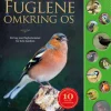 Fuglene omkring os - En bog med fuglestemmer for hele familien