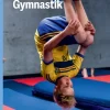 Gå til... Gymnastik, Blå Fagklub
