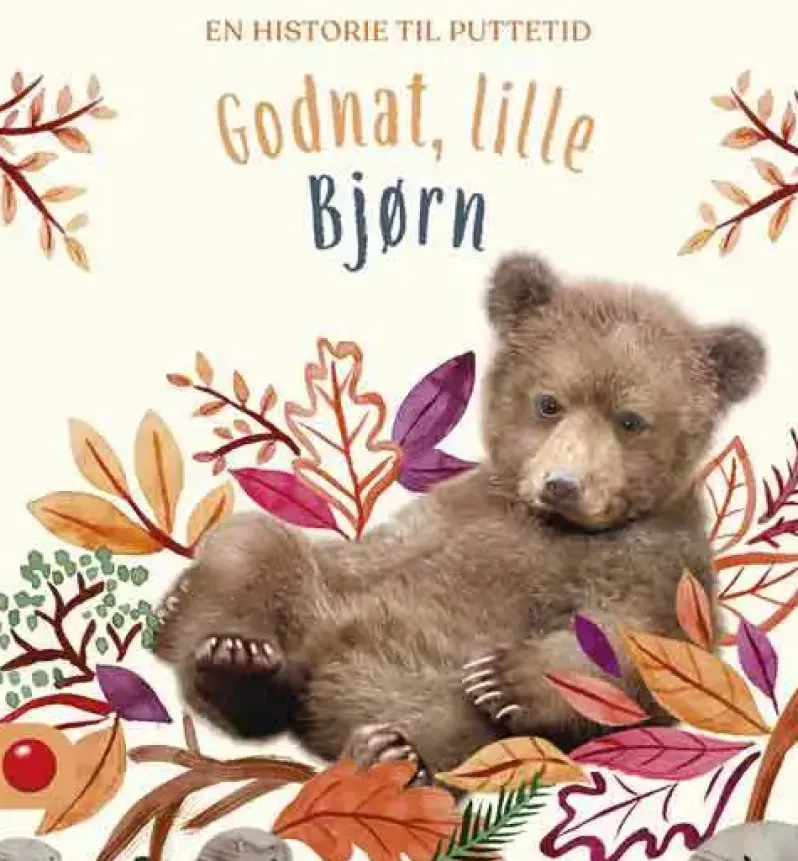 Godnat, lille Bjørn
