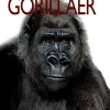 Gorillaer