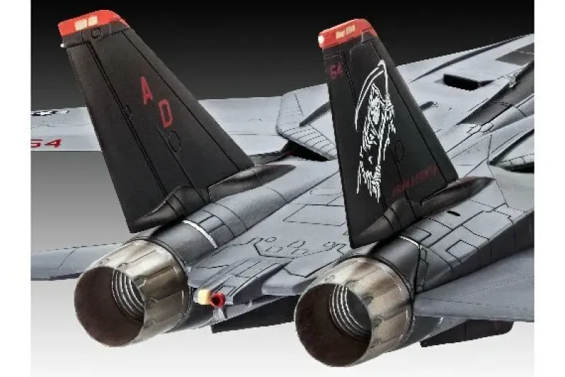 Grumman F-14D Super Tomcat