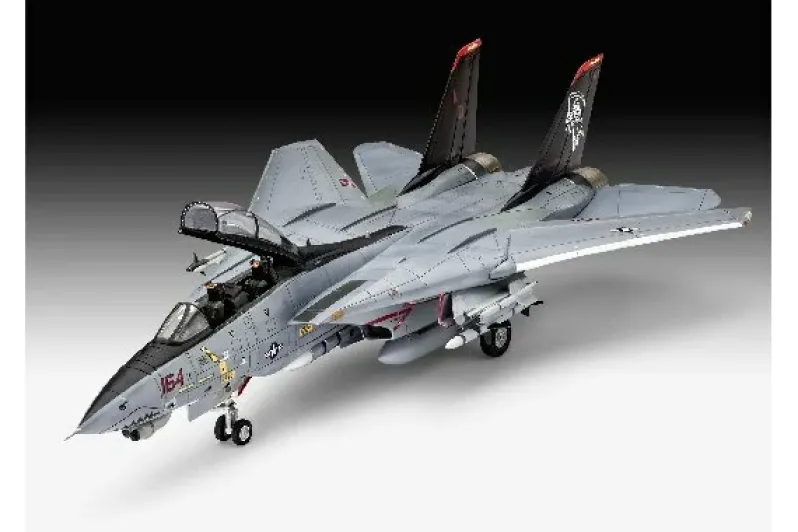 Grumman F-14D Super Tomcat