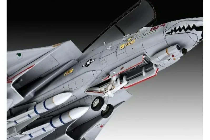 Grumman F-14D Super Tomcat