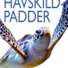 Havskildpadder