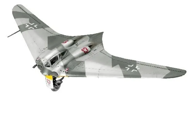 Horten Go 229