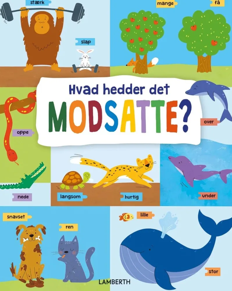 Hvad hedder det modsatte?