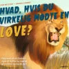 Hvad, hvis du virkelig mødte en løve?