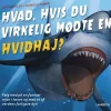 Hvad, hvis du virkelig mødte en hvidhaj?