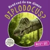 Hvad ved du om dinoen diplodocus?