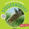 Hvad ved du om dinoen stegosaurus?