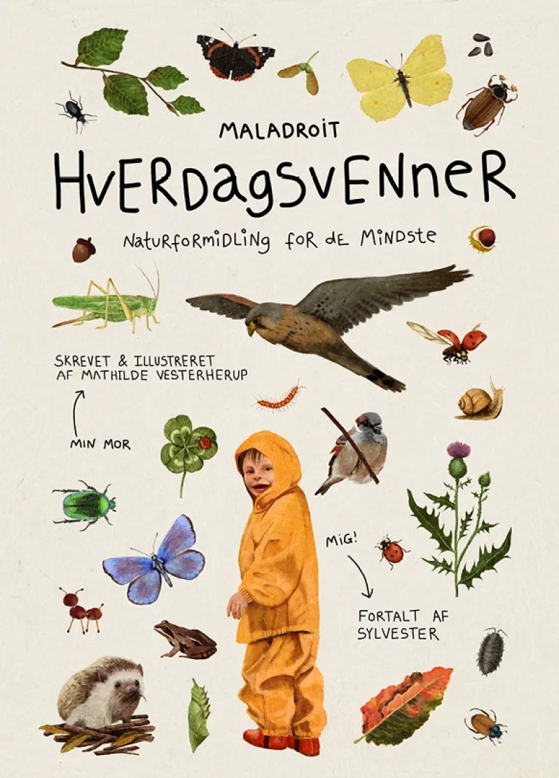Hverdagsvenner