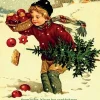 Juleeventyr