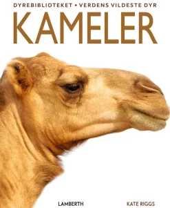 Kameler
