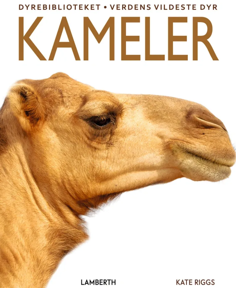 Kameler