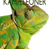 Kamæleoner