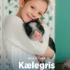 Kælegris, Grøn Fagklub