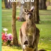 Kænguru, Grøn Fagklub