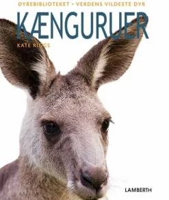 Kænguruer