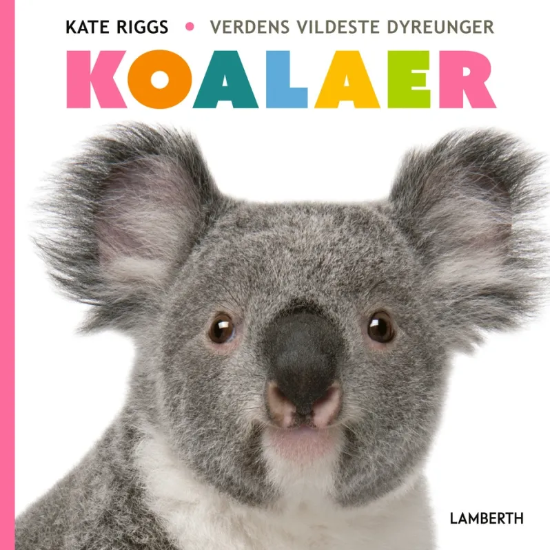 Koalaer