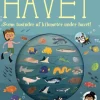 Kom med på en dykkertur i havet