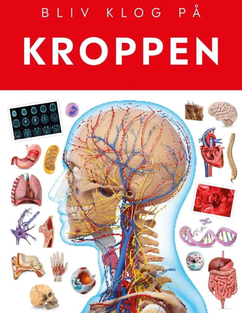 Kroppen