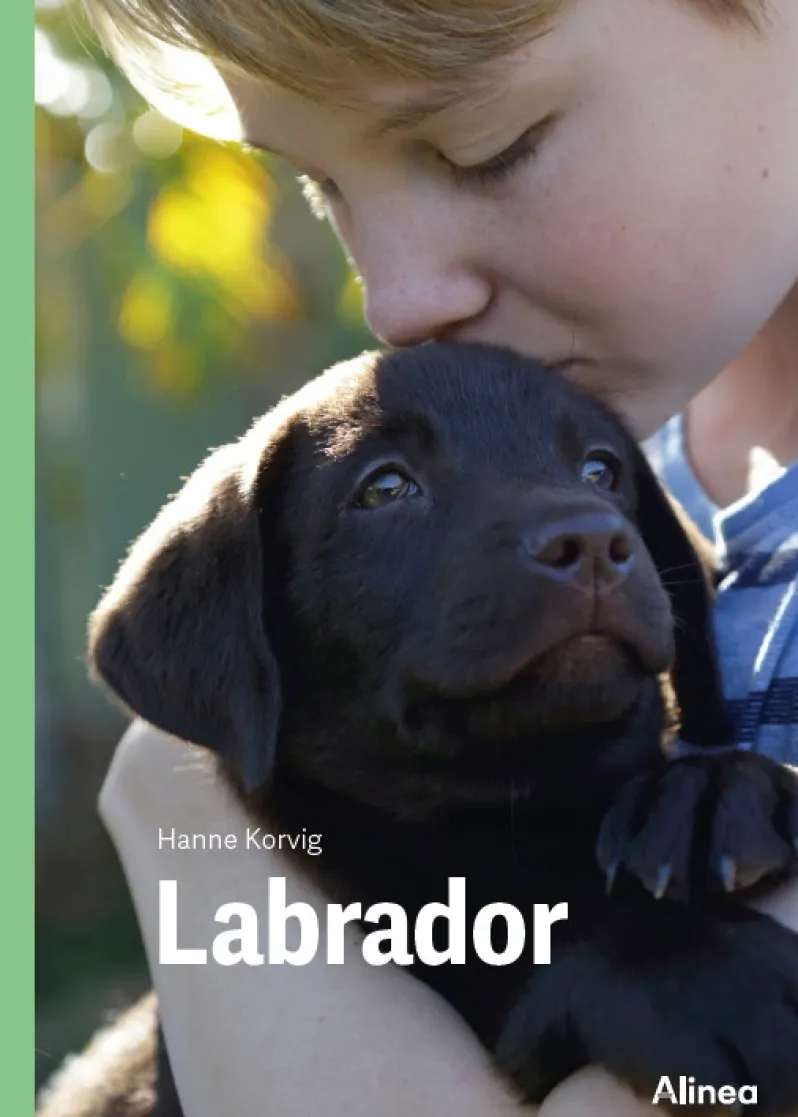 Labrador, Grøn Fagklub