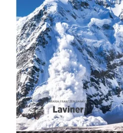 Laviner, Sort Fagklub
