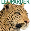 Leoparder