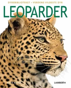 Leoparder