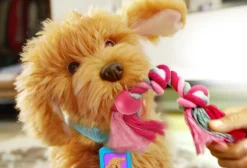 Moji the Lovable Labradoodle