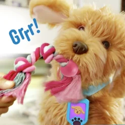 Moji the Lovable Labradoodle